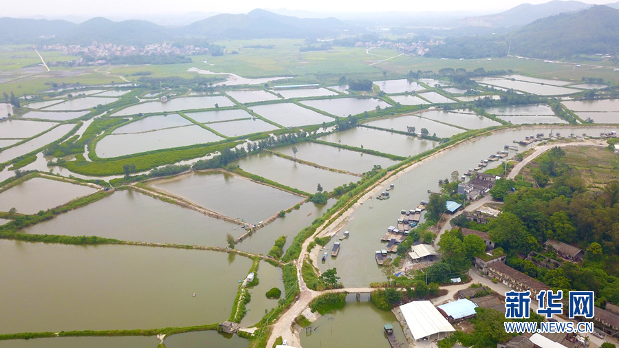 阳江“幸福密码”:因海而兴 阳江“幸福密码”:因海而兴