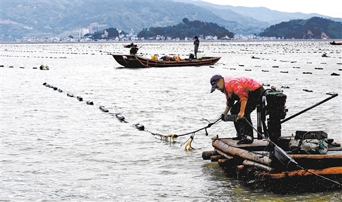 科技力量比较薄弱、区域发展不平衡等现象突出 县域创新难题待解