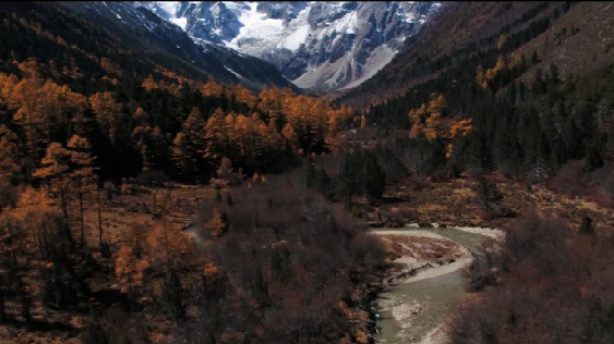 《最美中国》第一季第13期:香格里拉 《最美中国》第一季第13期:香格里拉