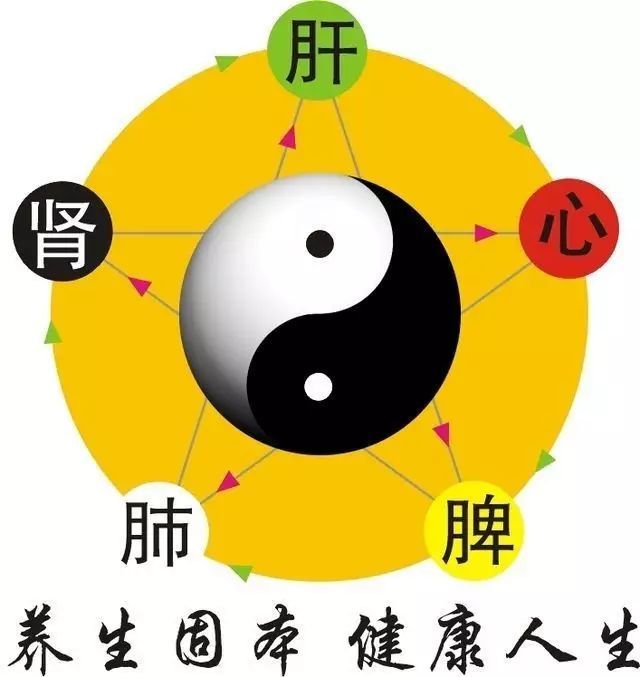 什么是体质?看完此篇你就知晓了-北京时间