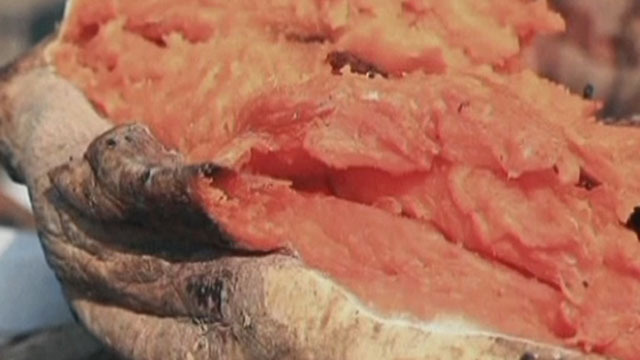 《记忆》20200113冬季里的北京味儿 《记忆》20200113冬季里的北京味儿