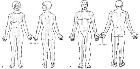 经络不通颈椎病治不好!睡前5分钟,按着这3个穴