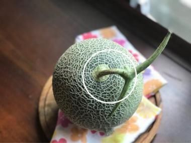 哈密瓜熟没熟,看着几个地方就知道