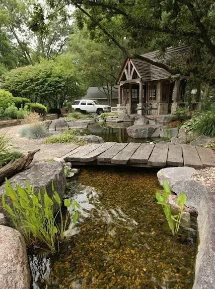 家庭园艺|庭院花园里的自然水池,这样来做 水景