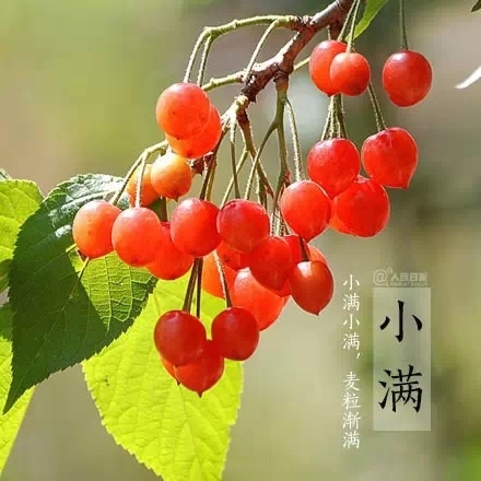 今日小满:小满的故事习俗与养生 祝你好运满满