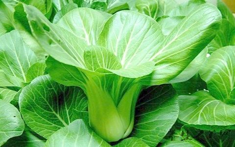 血糖高有什么预兆