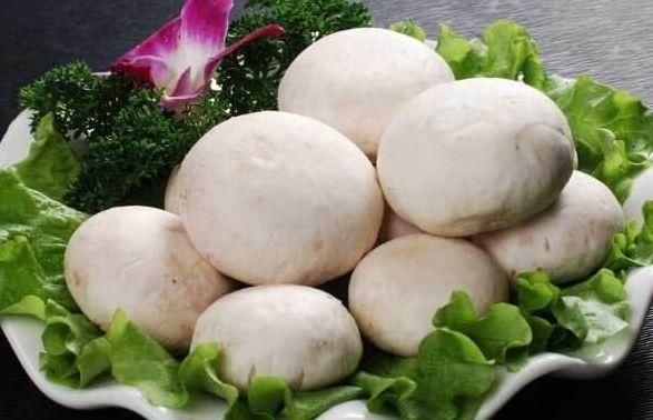 宝宝可以吃口蘑吗!口蘑怎么做给宝宝吃口蘑的