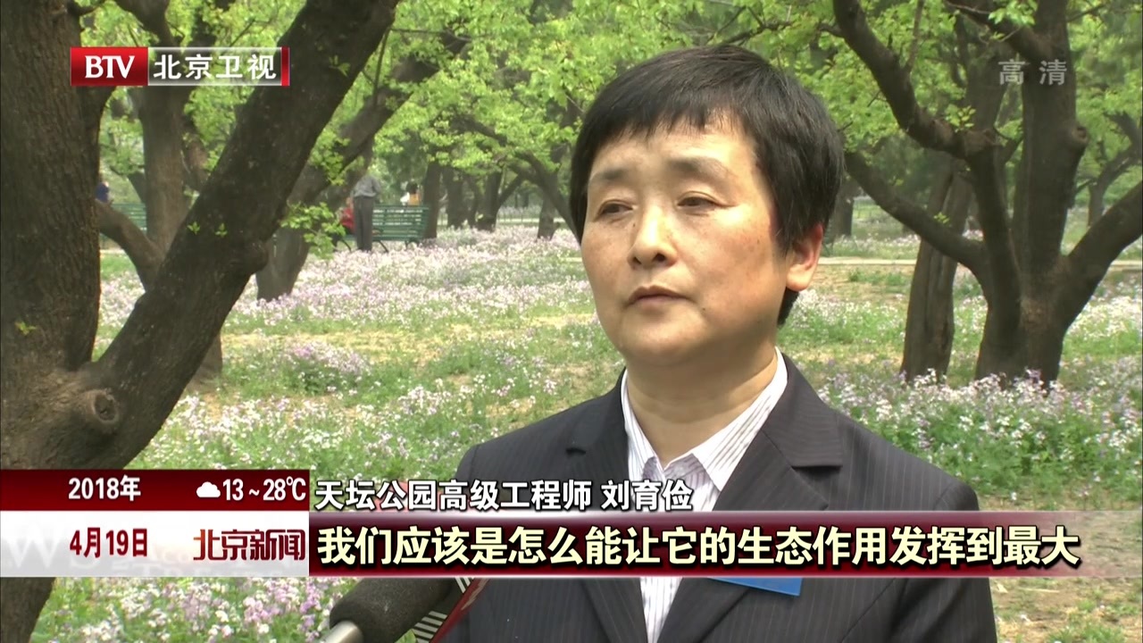 适地适草 林下繁花  北京市属公园大力推广乡土植物