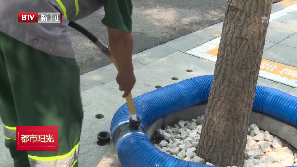 西城区应用智能滴灌技术为行道树“问诊把脉” 西城区应用智能滴灌技术为行道树“问诊把脉”