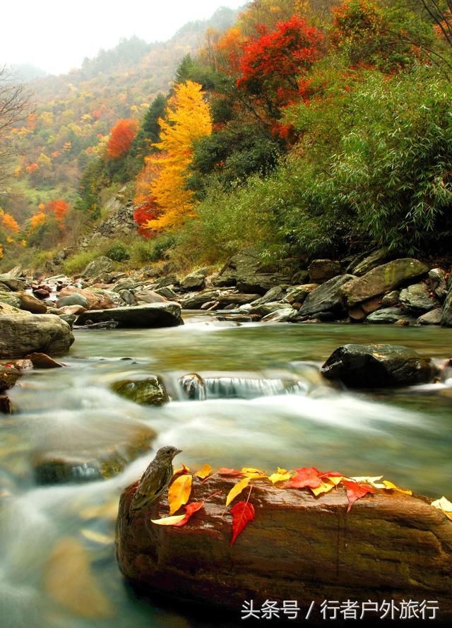 四川省 1个副省级市、17个地级市、3个自治州