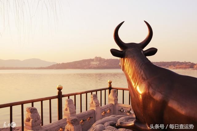 民间流传的口诀,由出生月份看12生肖终生命局