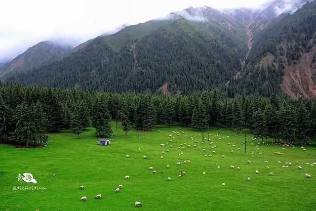 去趟瑞士得七万?你可以来冰沟林海