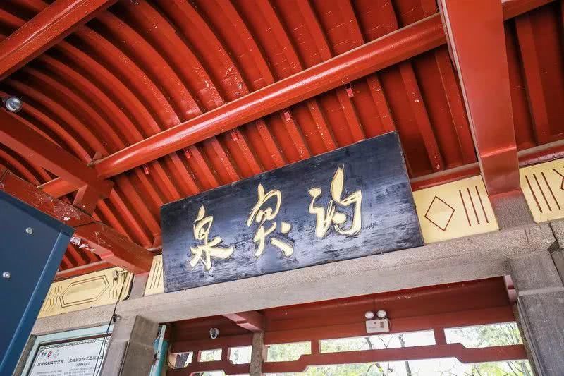 阿萌旅行日记第53篇:济南的春天,错过可就太可