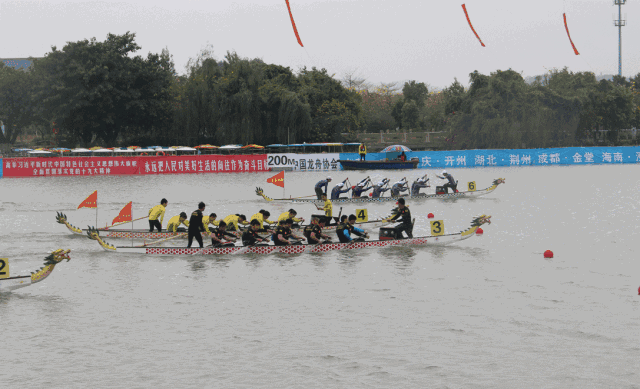 竞技龙舟开年大战:第18届亚运会龙舟国家集训