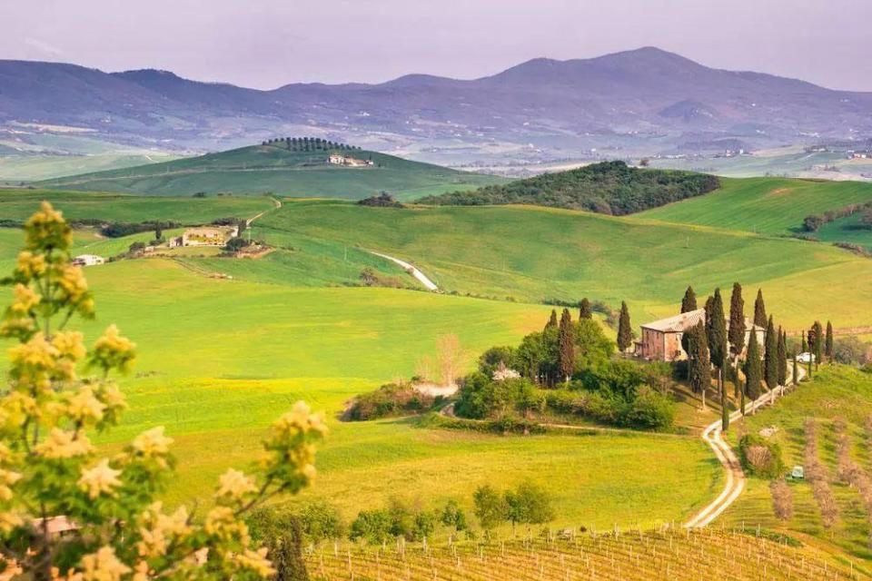 双色球18081期围蓝及杀号推荐