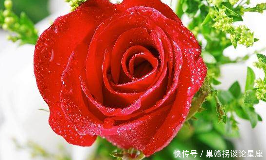 准!算命师预言:的2019年十二生肖未来命运!