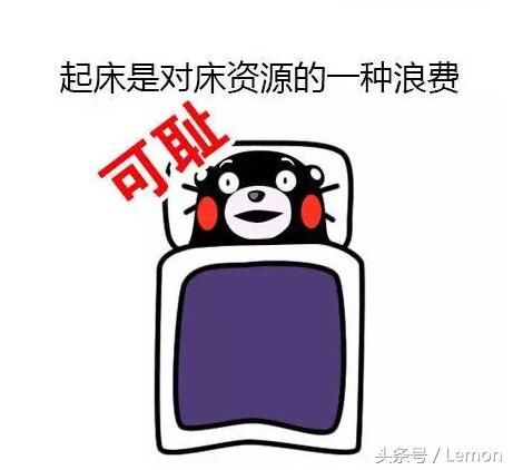 冬天起床这是一件艰难的事情