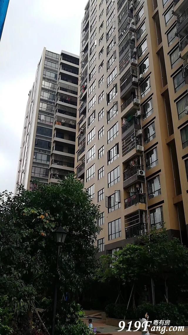 深圳光明新区与公明最新农民房与村委统建楼盘