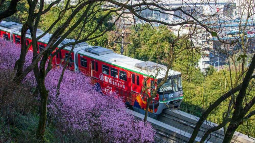 太美了！开往春天的列车来啦