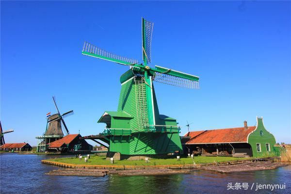 郁金香和风车,荷兰的国宝,小哥哥小姐姐们要不