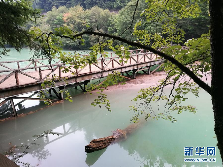 九寨沟震后昔日美景不再:水质变浑山体受损 - 钟儿丫 - 响铃垭人 九寨沟震后昔日美景不再:水质变浑山体受损 - 钟儿丫 - 响铃垭人