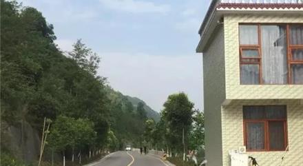 4岁儿童12楼坠亡 家中无人意外掉落原因成谜