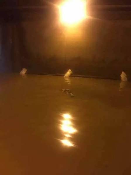 白沙河水库管理方一个王姓工作人员刚才也到了牛街庄新村，勘察现场，他认为这对母子的不幸，和水库泄洪没关系。白沙河水库位于昆明市东三环路虹桥村和苏家营附近，占地3000余亩。因处白沙河上游得名。总库容2700万立方米，集水面积42.3平方公里。“最近昆明下雨，我们每天都在泄洪，每天都在两三万方左右。”白沙河水库管理所这名王姓工作人员介绍，这几天由于昆明雨水较多，白沙河水库都在正常溢水。每天的排水量大约在两到三万方。白沙河的水通过海河最终流向滇池。虽然海河也经过牛街庄，但他表示，这起淹水事故己方已经现场勘查过，遇难者是在隧道内被淹溺亡的，而不是在河道及水库里溺亡的。