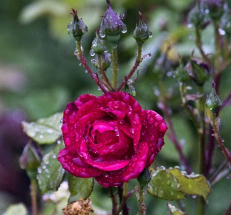 未来3个月财神偏爱,做什么都能挣到大钱,生活