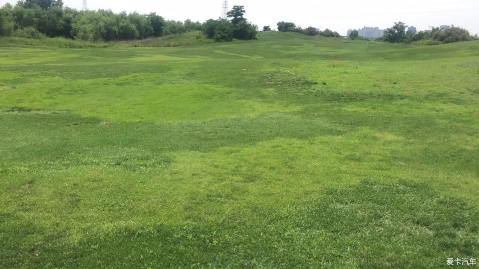 周六车游霸渭湿地