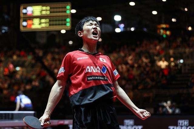 封吼令!张本智和不可再乱吼 日本网友:不是纯正