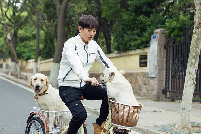 成毅《营救汪星人》片场大起底 自曝囧事状况百出