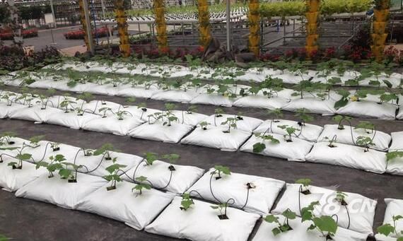 农村不起眼的暴利行业有哪些 十大不起眼的赚