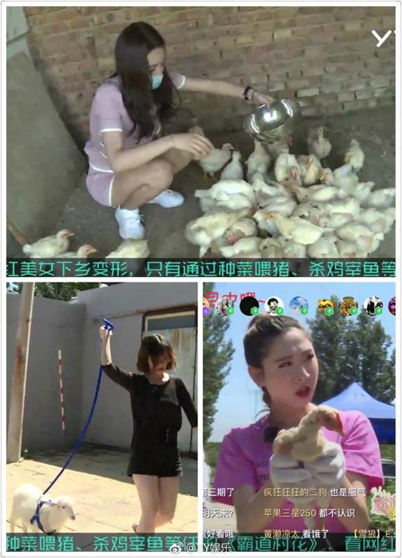 酷酷户外最新视频 t01396ee8de5749d3e8.jpg?size=577x800