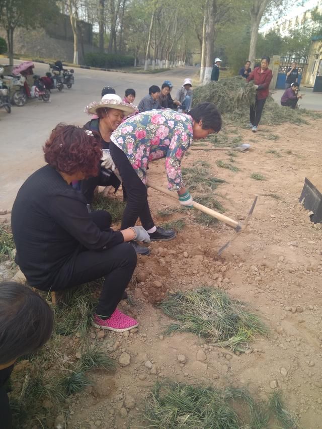 农忙季节,农村大爷大妈打零工,一天男工50女工