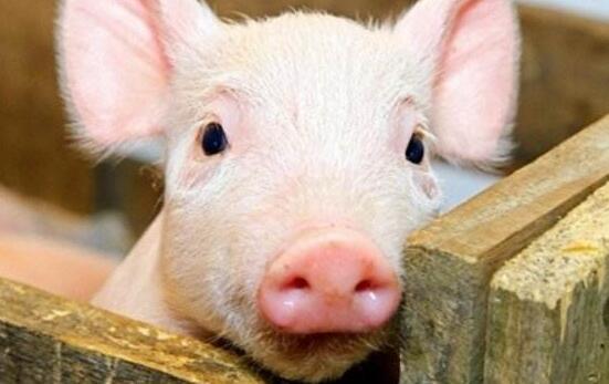 时间晚参:高铁霸座男笑坐轮椅 喊龙哥推车