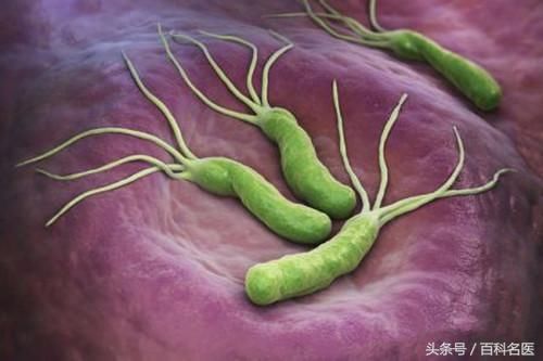 看见肉就恶心、吃得少、心窝部疼,丈夫坚决去