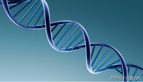 脱发秃顶会遗传吗?专家揭示秃顶遗传规律