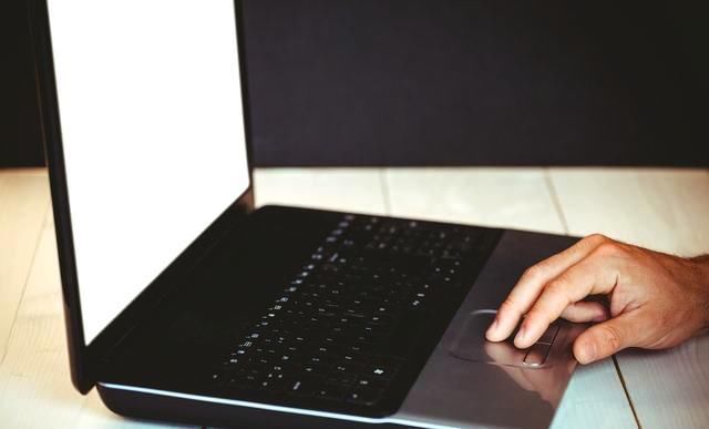 笔记本电脑品牌排行_笔记本电脑分辨率排行(5)