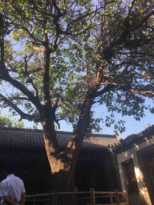 网络媒体采访团走进杜受田故居 领略廉政德教育