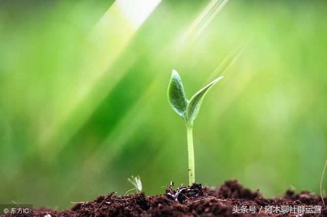 如何让自己变得值钱?你参悟不透的有人已经赚