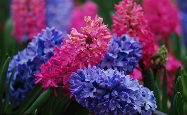 广州周边这47个热门景区免费耍!90%的人都不