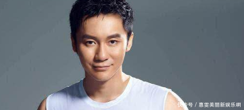 陈赫的学历、郑恺的学历、杨颖的学历,没有对