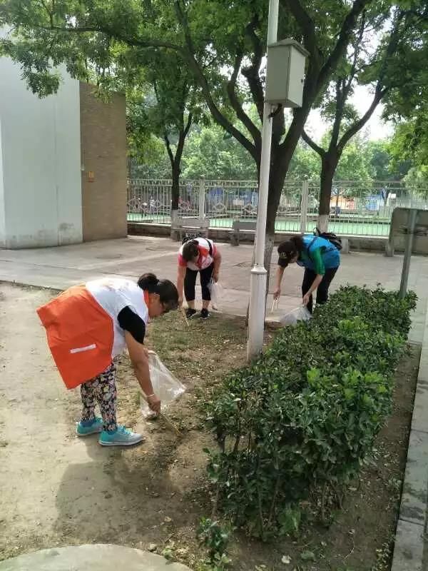 门头沟区社会组织联合会会员单位开展环保捡垃