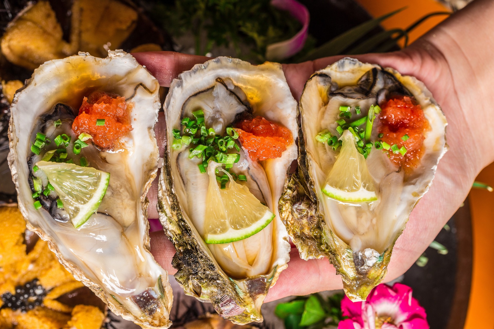 这家日料放题1天只接66位客人,居然有法国生蚝畅吃?