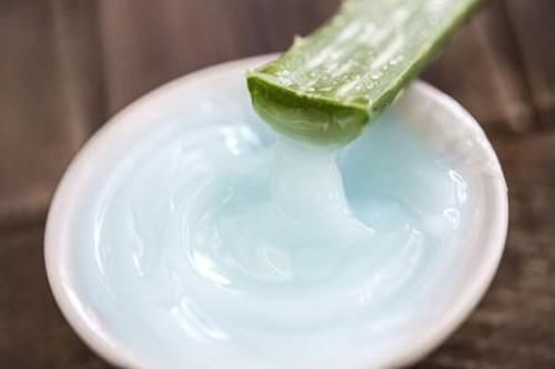 家里养的芦荟可以直接涂在脸上吗?芦荟胶是什
