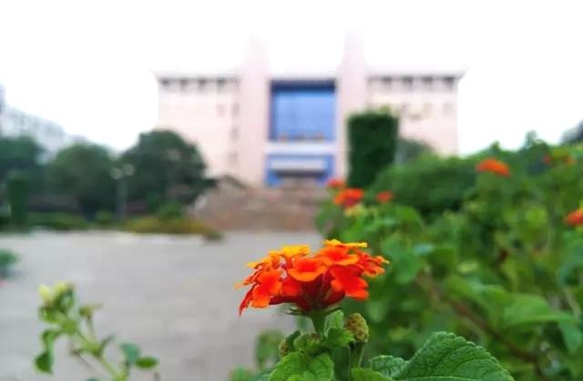 湖南商学院更名湖南财经大学?据说湖南大学默