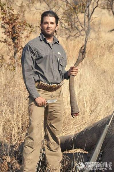 特朗普儿子割大象尾巴照片引热议