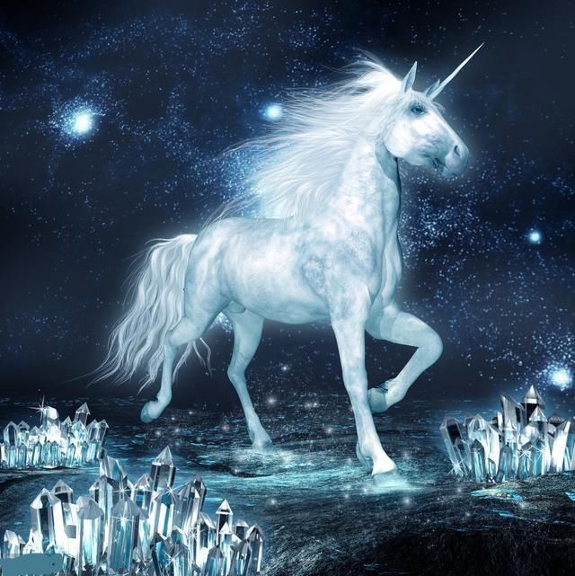 独角兽分化:药敏康德、意华股份坑人,亚夏汽车