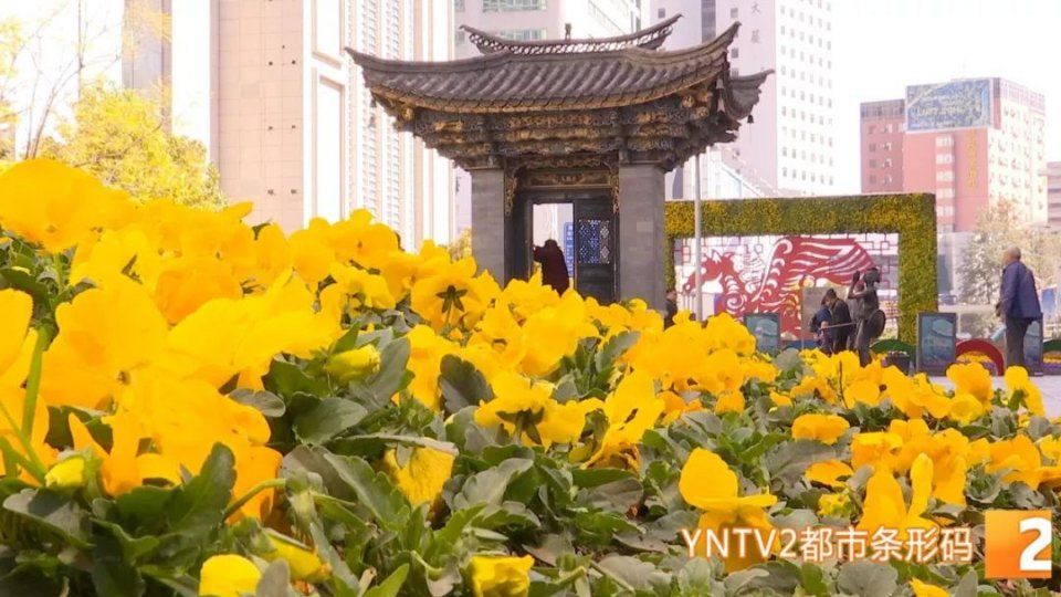 二线or三线?最新全国城市排名出炉,快来看看你