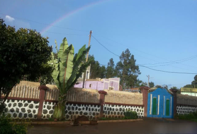 我在非洲打工的日常生活,最怕非洲跳蚤,当地人